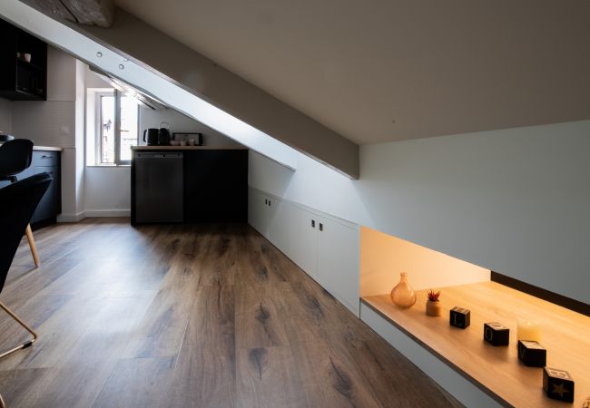 Studio in Annecy - Perchoir meilleur emplacement vieille ville Studio in Annecy - Perchoir meilleur emplacement vieille ville