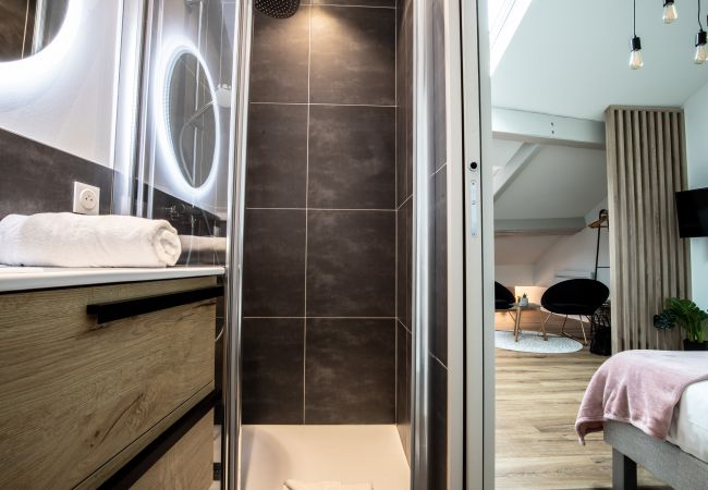 Studio in Annecy - Perchoir meilleur emplacement vieille ville Studio in Annecy - Perchoir meilleur emplacement vieille ville