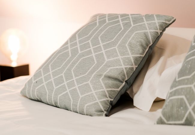 Apartment in Annecy - Rocher blanc duplex rue Carnot 5 min du lac ! I Apartment in Annecy - Rocher blanc duplex rue Carnot 5 min du lac ! I