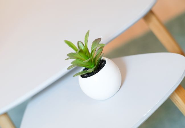 Apartment in Annecy - Rocher blanc duplex rue Carnot 5 min du lac ! I Apartment in Annecy - Rocher blanc duplex rue Carnot 5 min du lac ! I