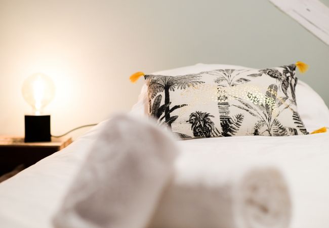 Apartment in Annecy - Rocher blanc duplex rue Carnot 5 min du lac ! I Apartment in Annecy - Rocher blanc duplex rue Carnot 5 min du lac ! I