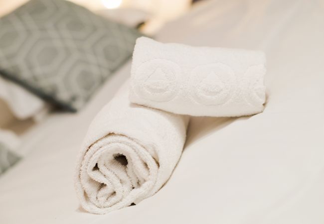 Apartment in Annecy - Rocher blanc duplex rue Carnot 5 min du lac ! I Apartment in Annecy - Rocher blanc duplex rue Carnot 5 min du lac ! I