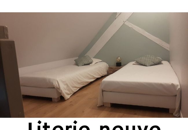 Apartment in Annecy - Rocher blanc duplex rue Carnot 5 min du lac ! I