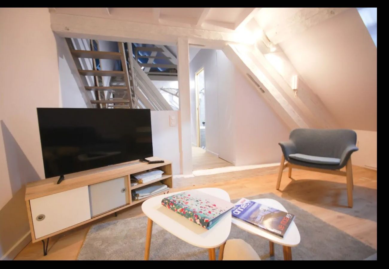 Apartment in Annecy - Rocher blanc duplex rue Carnot 5 min du lac ! I