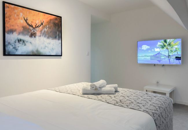 Apartment in Annecy - Atypique sous château vieille ville Apartment in Annecy - Atypique sous château vieille ville