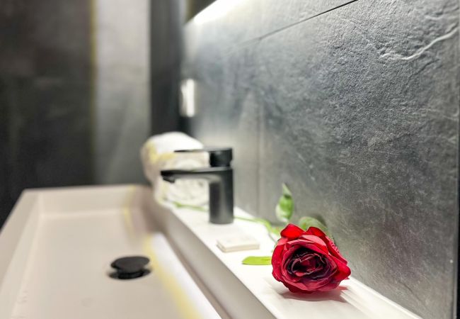 Apartment in Annecy - Atypique sous château vieille ville Apartment in Annecy - Atypique sous château vieille ville