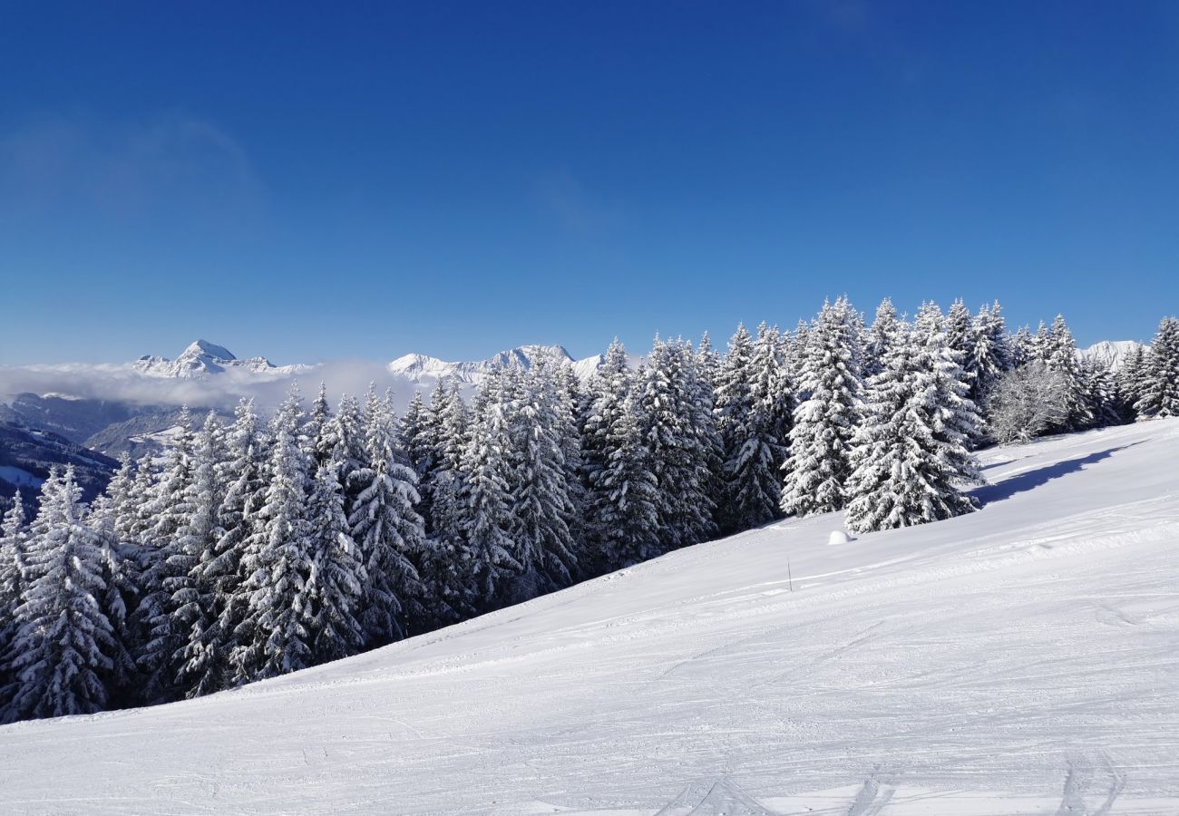 Apartment in Megève - Stallion d15 MEGEVE