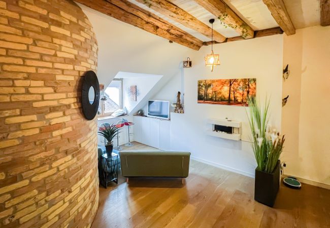 Apartment in Annecy - Love island romantique rue carnot