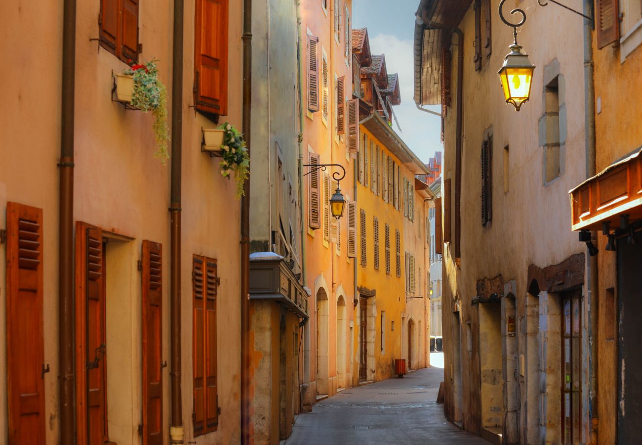 Apartment in Annecy - Picasso avec terrasse cœur vieille ville