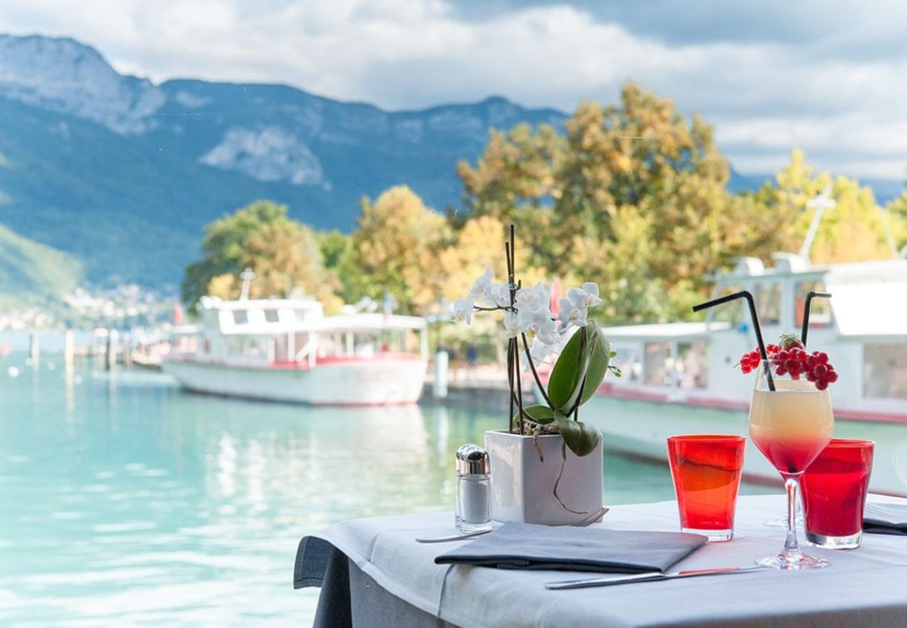 Apartment in Annecy - Evidence proche du lac