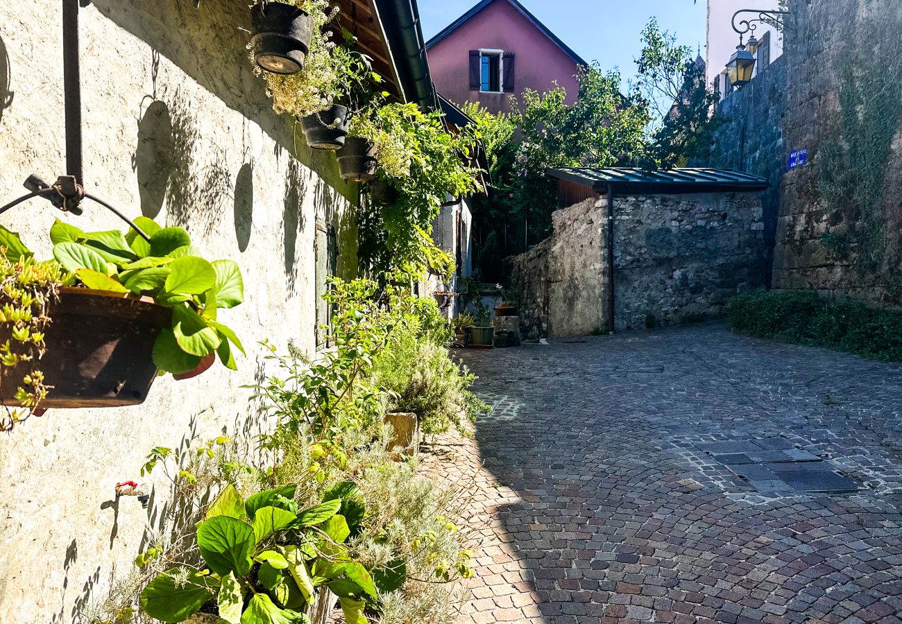 House in Annecy - Maison Castellino