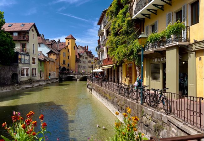 Apartment in Annecy - Sequoia passage Cordeliers