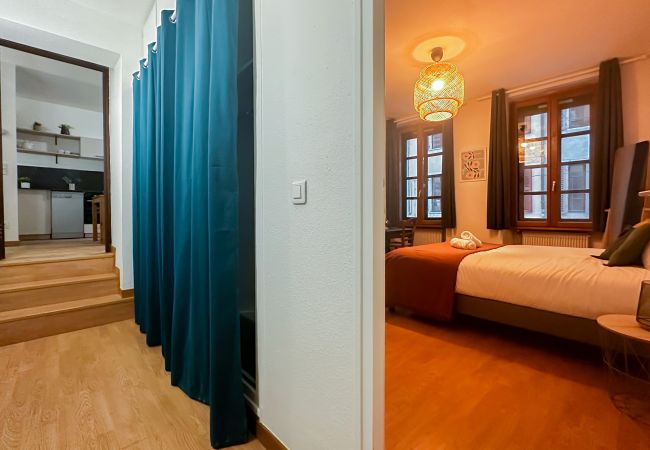 Apartment in Annecy - Edelweiss rue carnot Apartment in Annecy - Edelweiss rue carnot