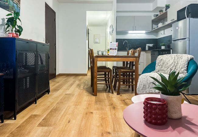 Apartment in Annecy - Edelweiss rue carnot Apartment in Annecy - Edelweiss rue carnot