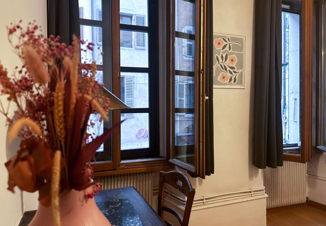 Apartment in Annecy - Edelweiss rue carnot 
