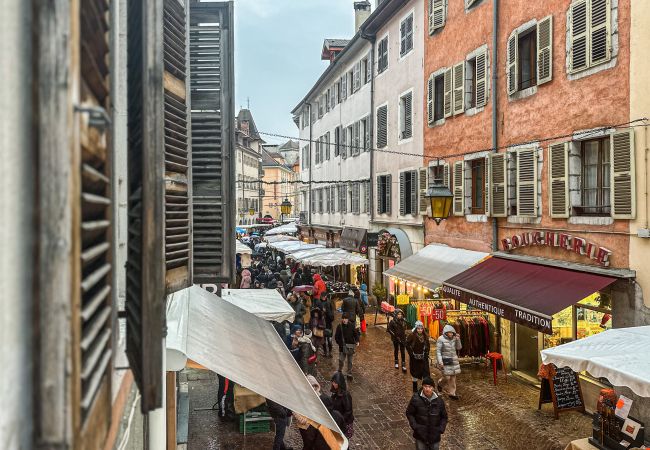 Apartment in Annecy - Edelweiss rue carnot Apartment in Annecy - Edelweiss rue carnot