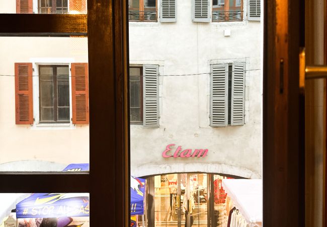 Apartment in Annecy - Edelweiss rue carnot Apartment in Annecy - Edelweiss rue carnot