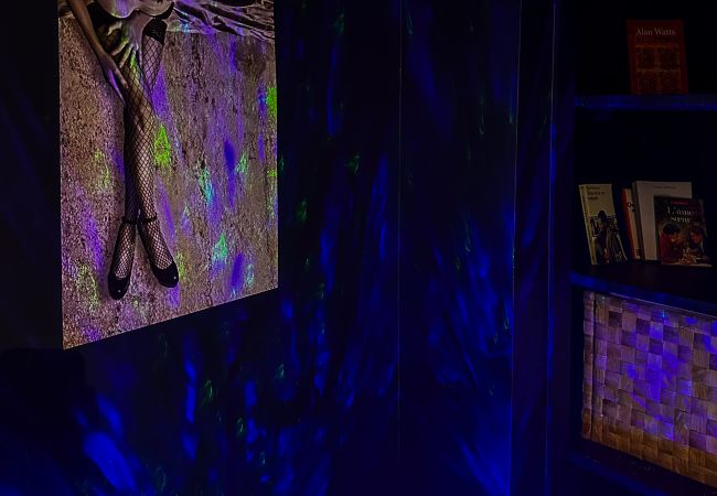 Studio in Annecy - Adults Only jacuzzi vieille ville Studio in Annecy - Adults Only jacuzzi vieille ville