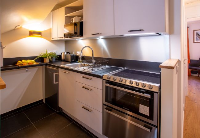 Apartment in Annecy - Petit Swan rue carnot Apartment in Annecy - Petit Swan rue carnot