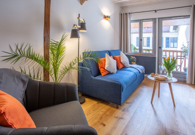 Apartment in Annecy - Petit Swan rue carnot Apartment in Annecy - Petit Swan rue carnot