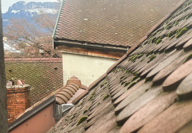 Apartment in Annecy - Casa Jungle loft rue du Paquier Apartment in Annecy - Casa Jungle loft rue du Paquier