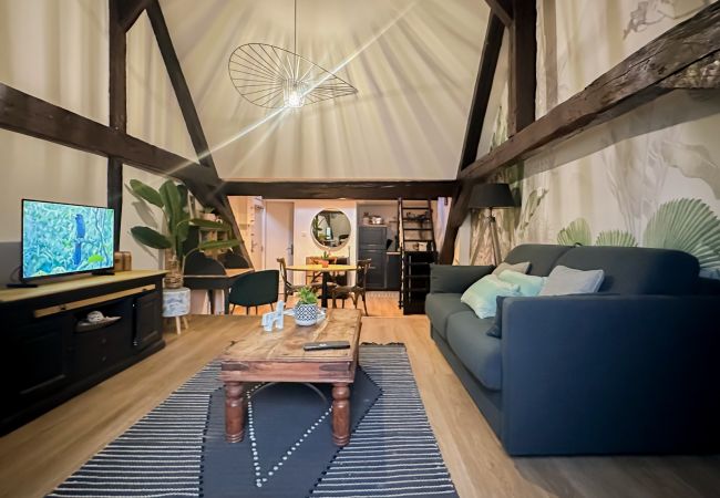 Apartment in Annecy - Casa Jungle loft rue du Paquier Apartment in Annecy - Casa Jungle loft rue du Paquier