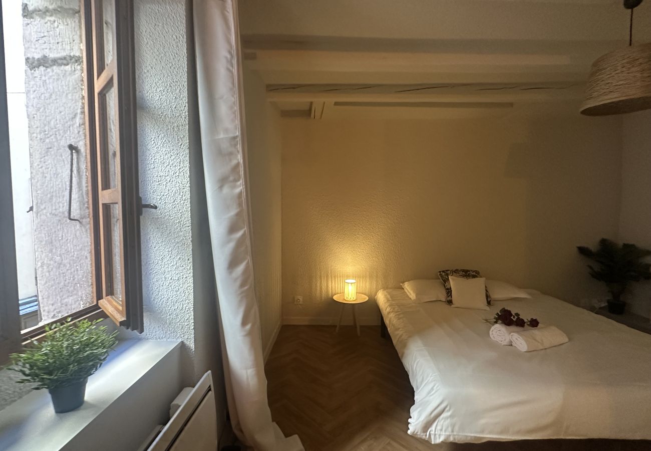 Studio in Annecy - Lac Lovers vieille ville romantique
