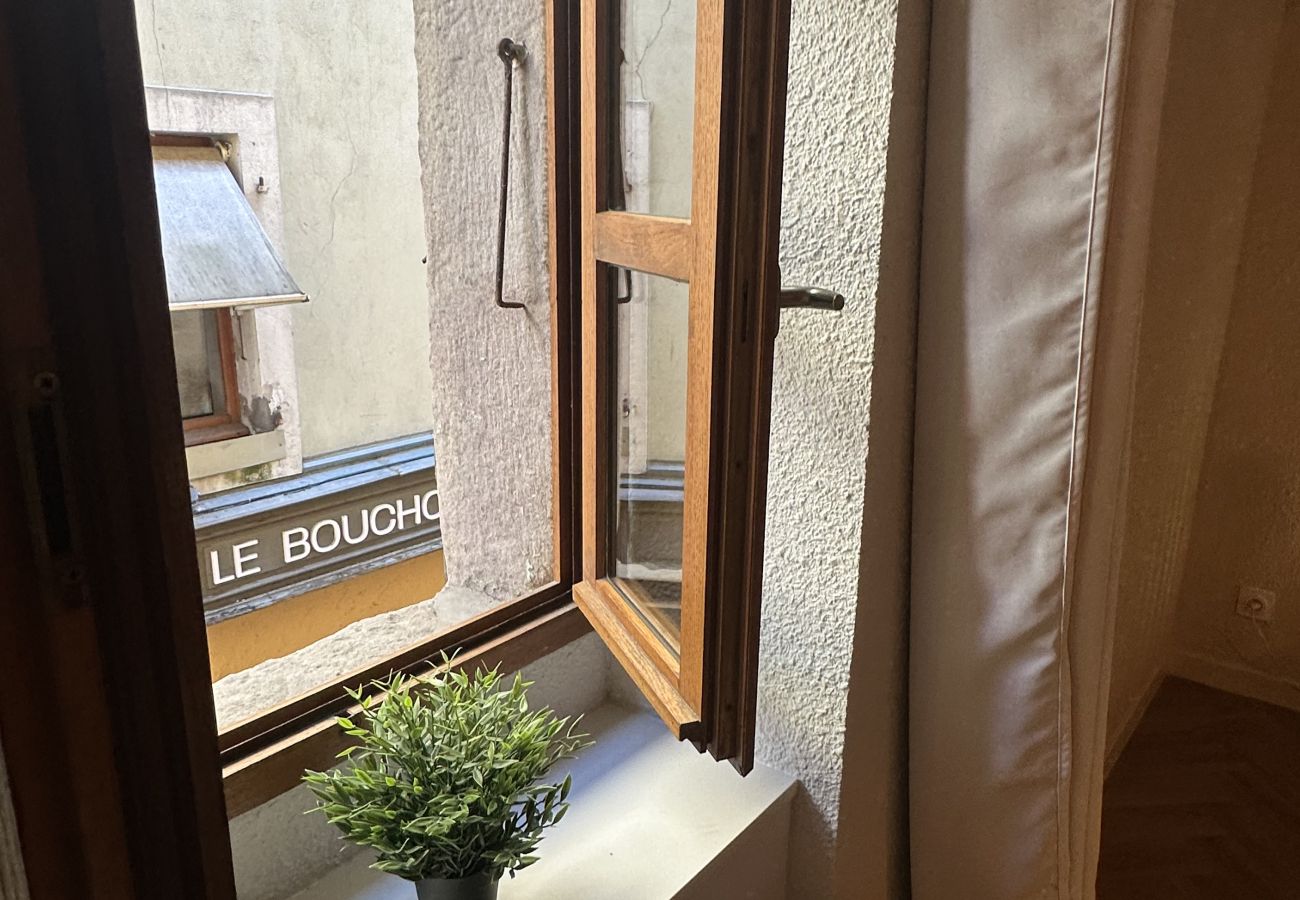 Studio in Annecy - Lac Lovers vieille ville romantique
