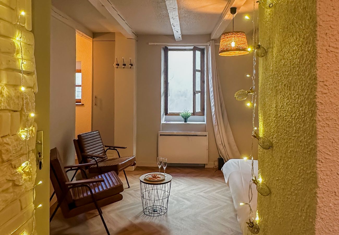 Studio in Annecy - Lac Lovers vieille ville romantique