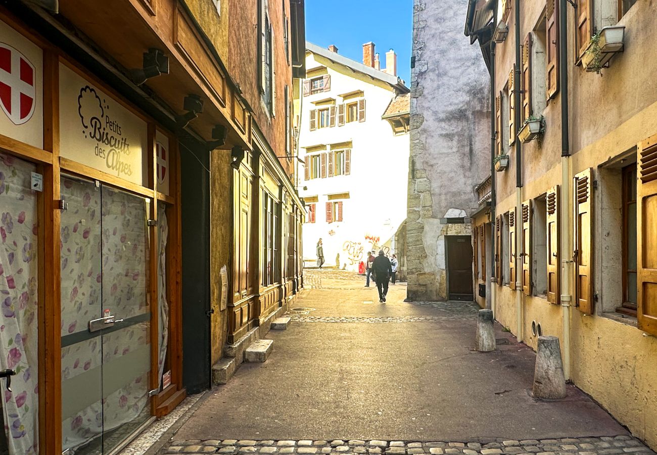 Studio in Annecy - Lac Lovers vieille ville romantique