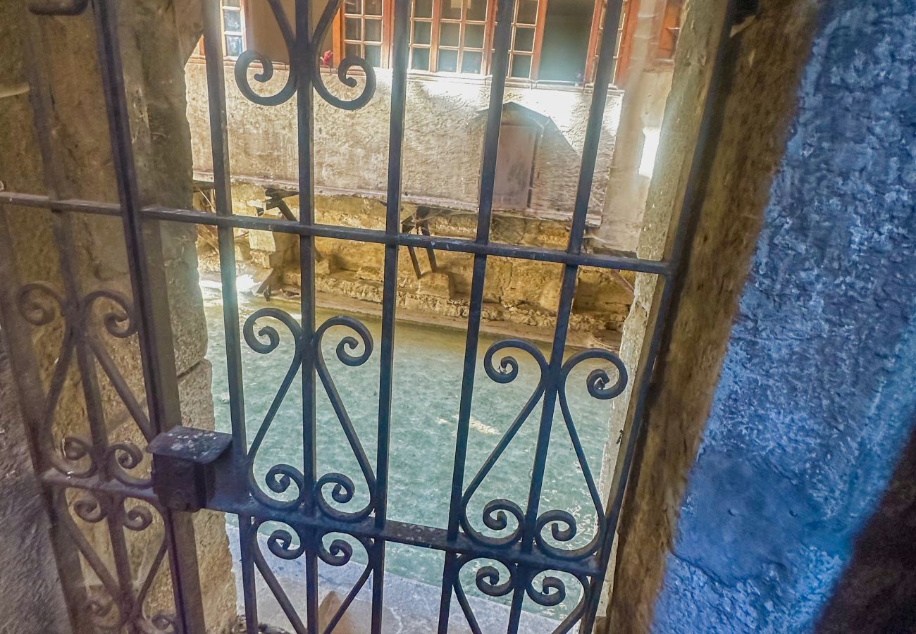 Apartment in Annecy - Carpe Diem proche du lac place Notredame