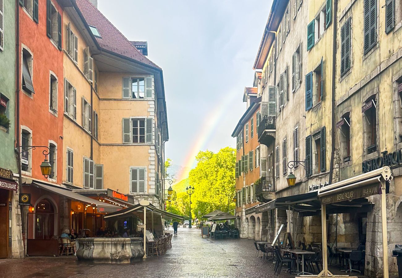 Apartment in Annecy - Da vinci rue sommeiller super emplacement