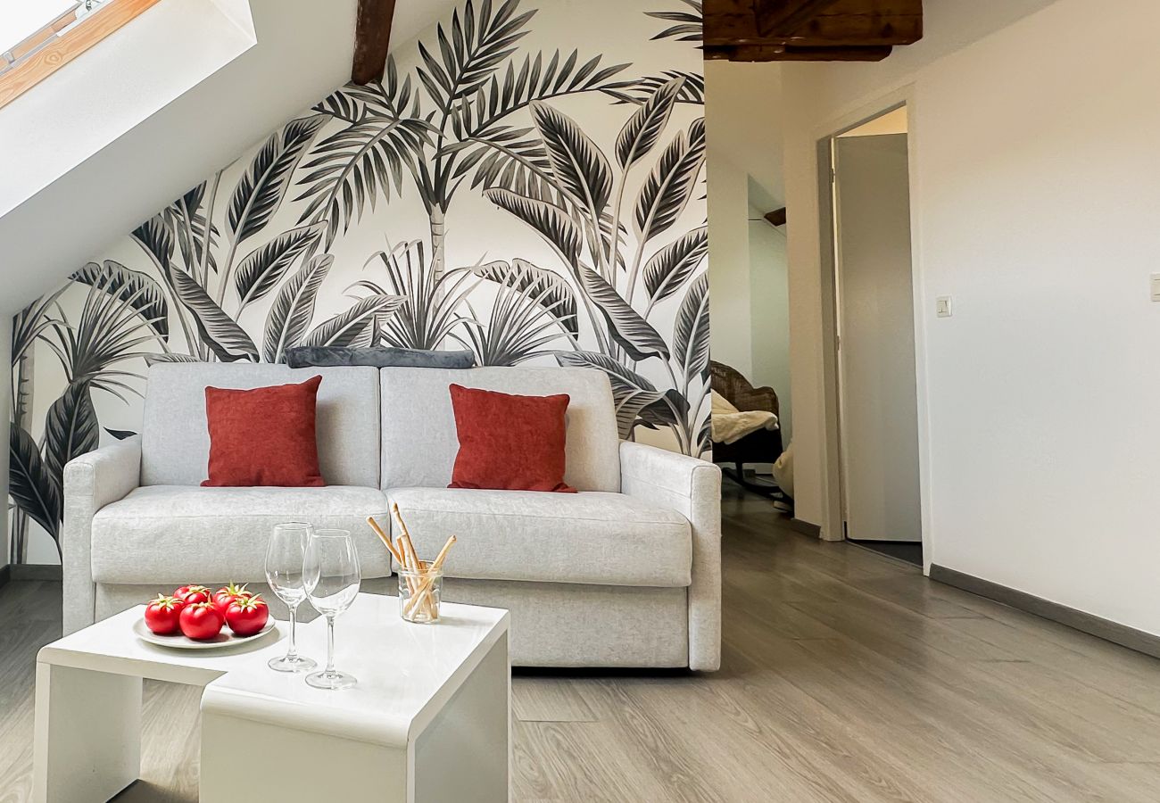 Apartment in Annecy - Da vinci rue sommeiller super emplacement