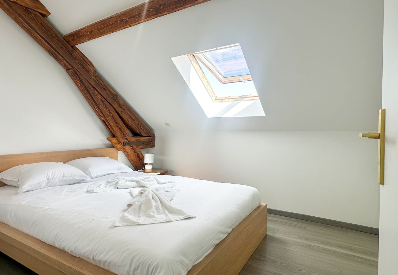 Apartment in Annecy - Da vinci rue sommeiller super emplacement