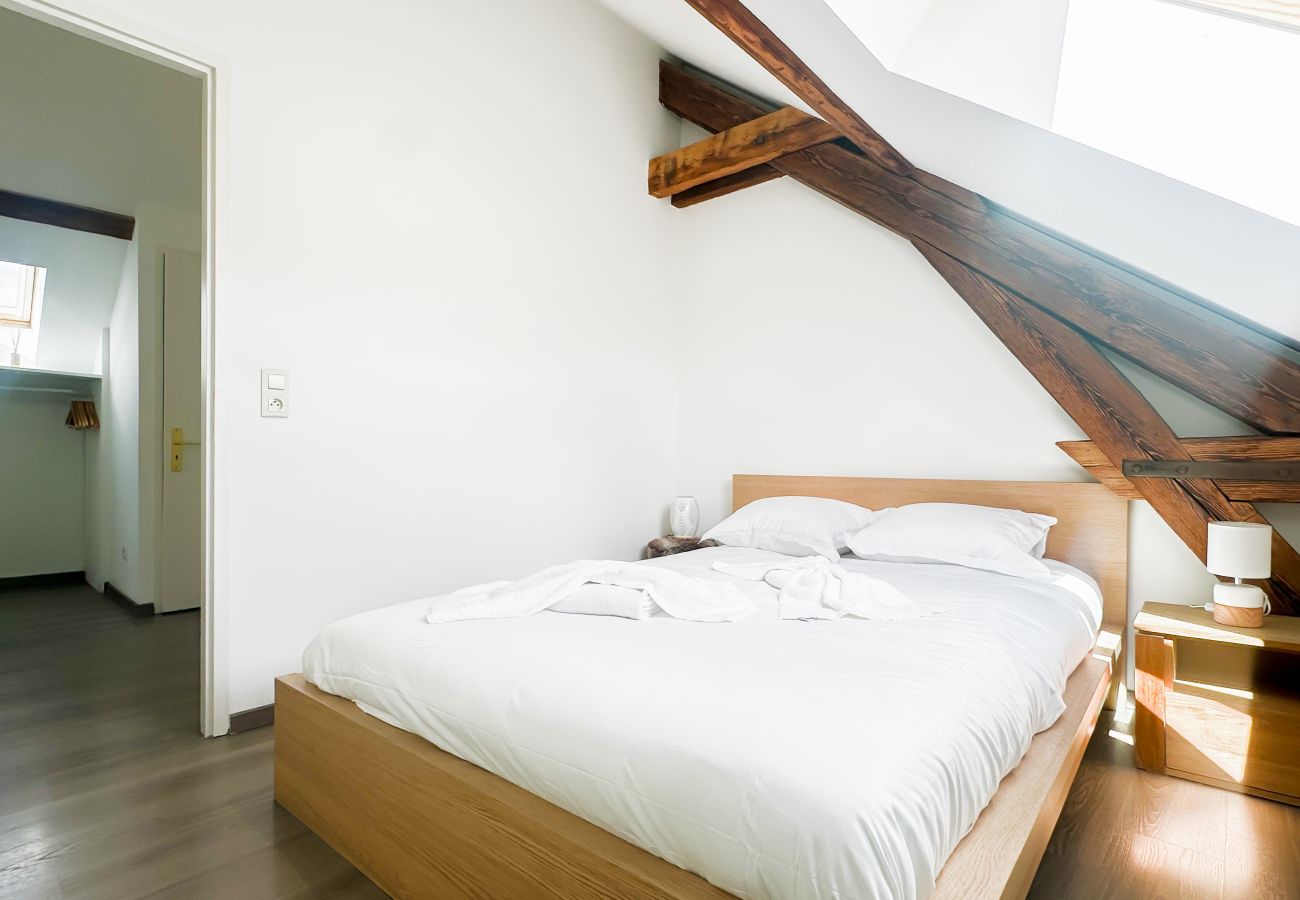 Apartment in Annecy - Da vinci rue sommeiller super emplacement