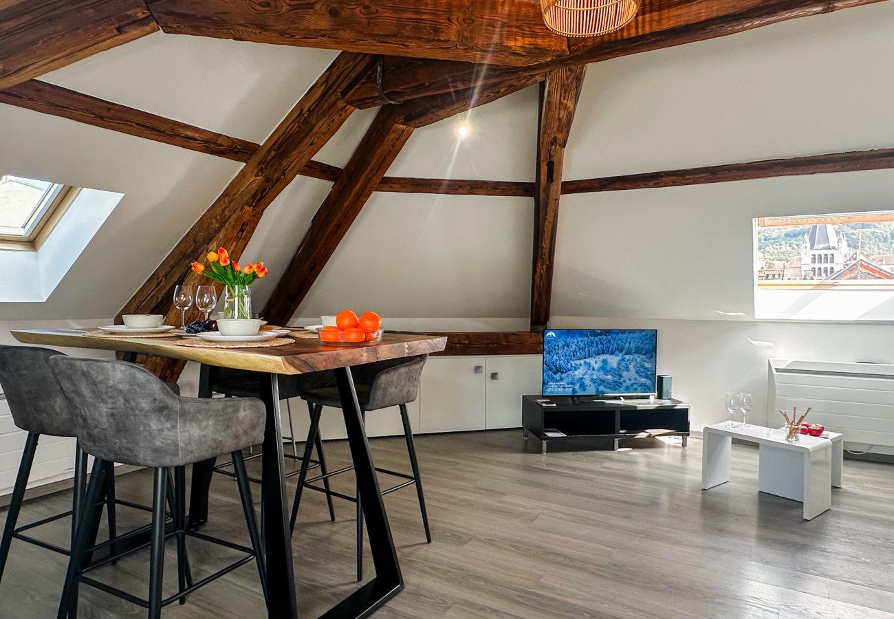 Apartment in Annecy - Da vinci rue sommeiller super emplacement