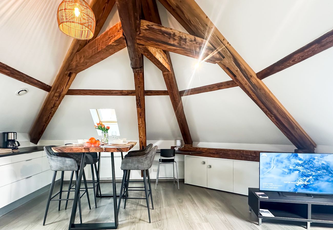 Apartment in Annecy - Da vinci rue sommeiller super emplacement