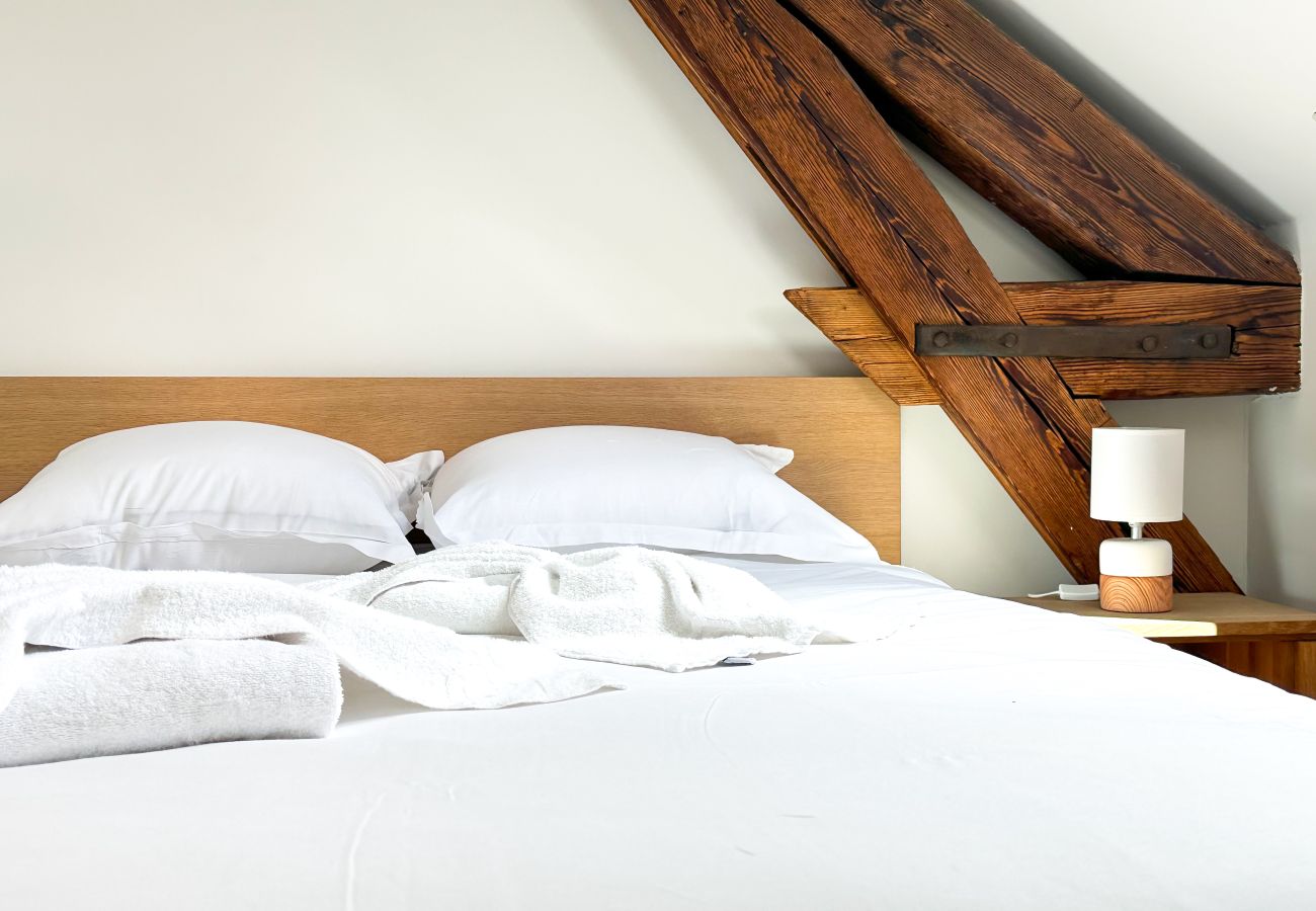 Apartment in Annecy - Da vinci rue sommeiller super emplacement