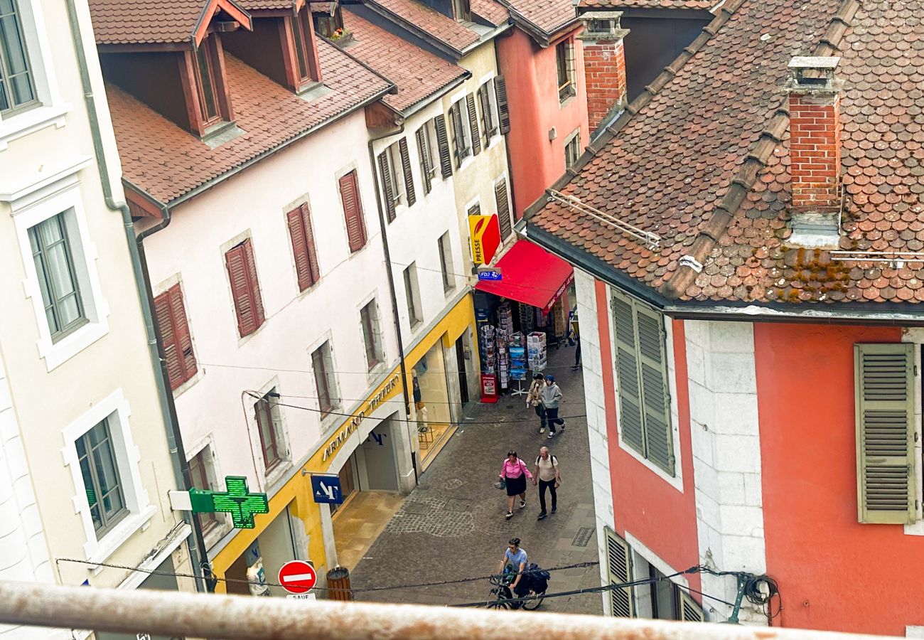 Apartment in Annecy - Da vinci rue sommeiller super emplacement