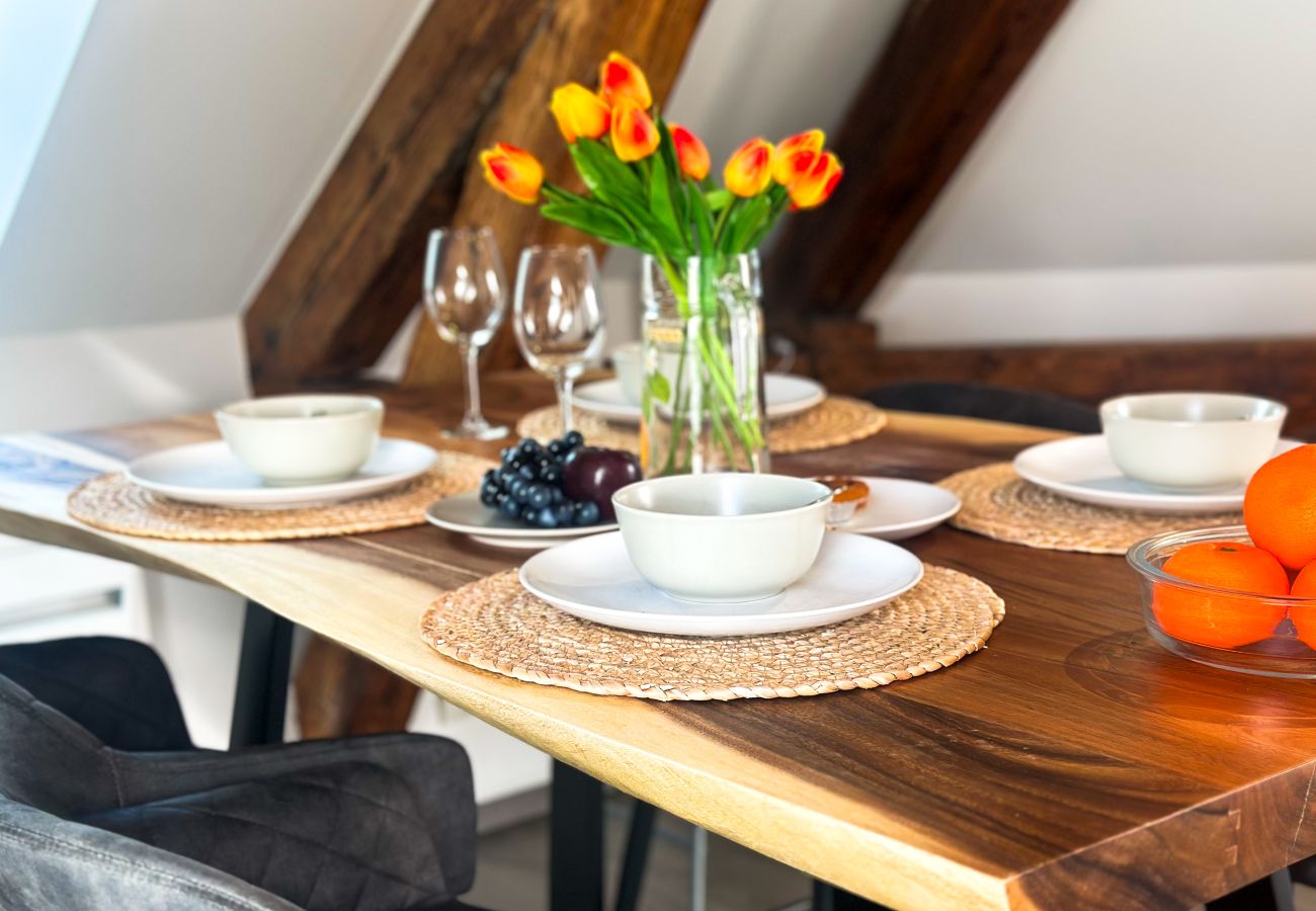 Apartment in Annecy - Da vinci rue sommeiller super emplacement