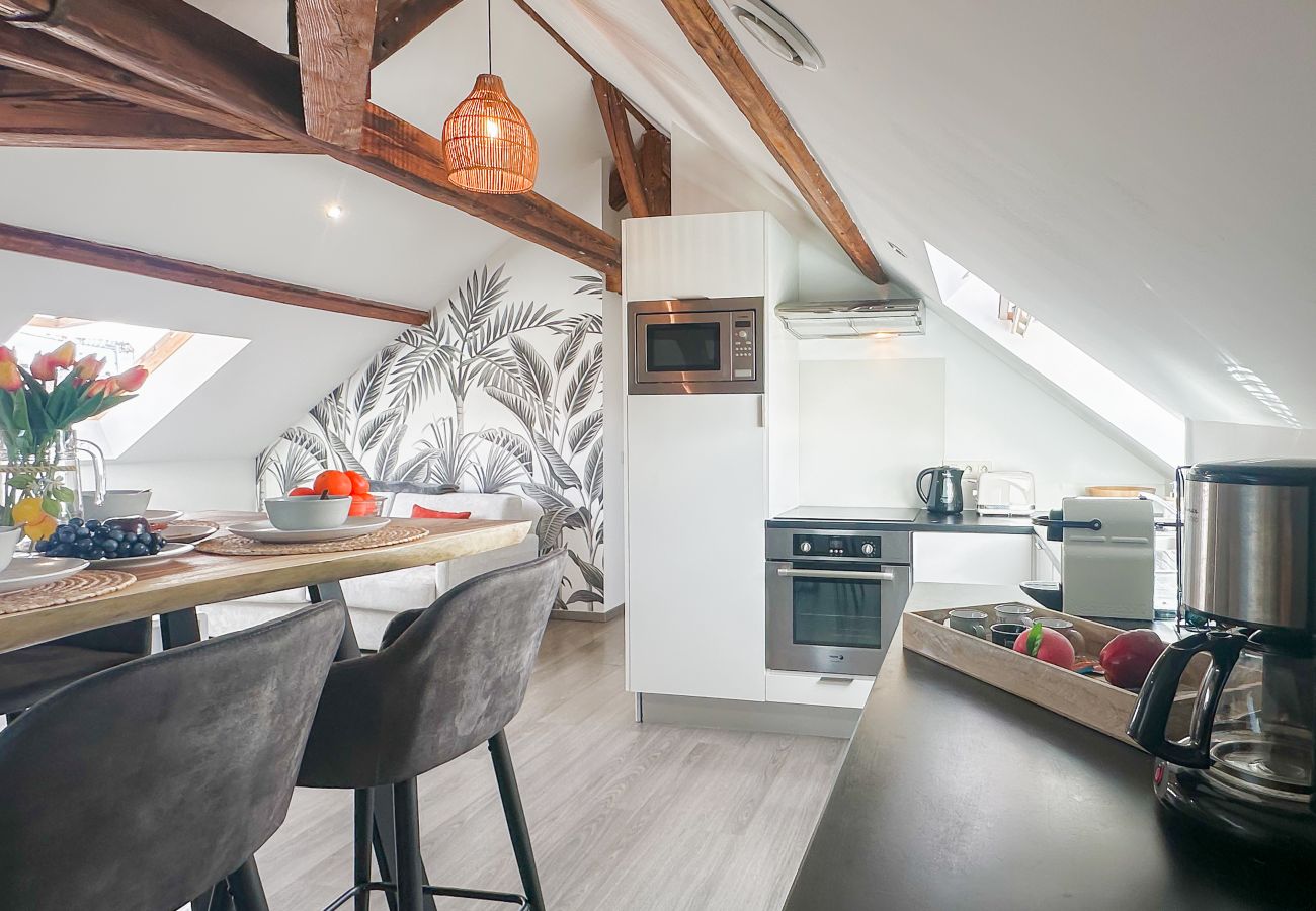 Apartment in Annecy - Da vinci rue sommeiller super emplacement