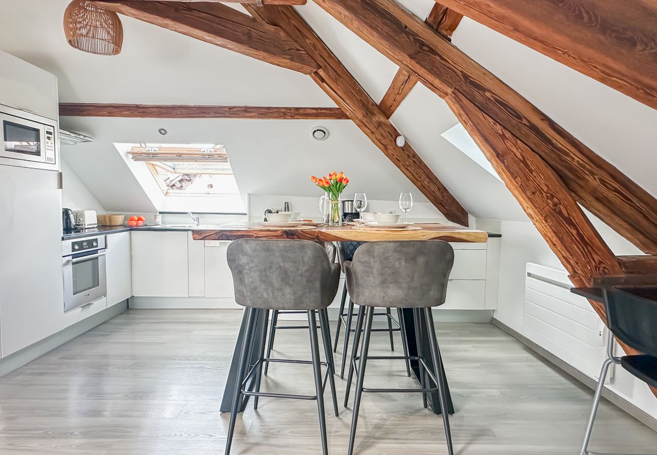 Apartment in Annecy - Da vinci rue sommeiller super emplacement
