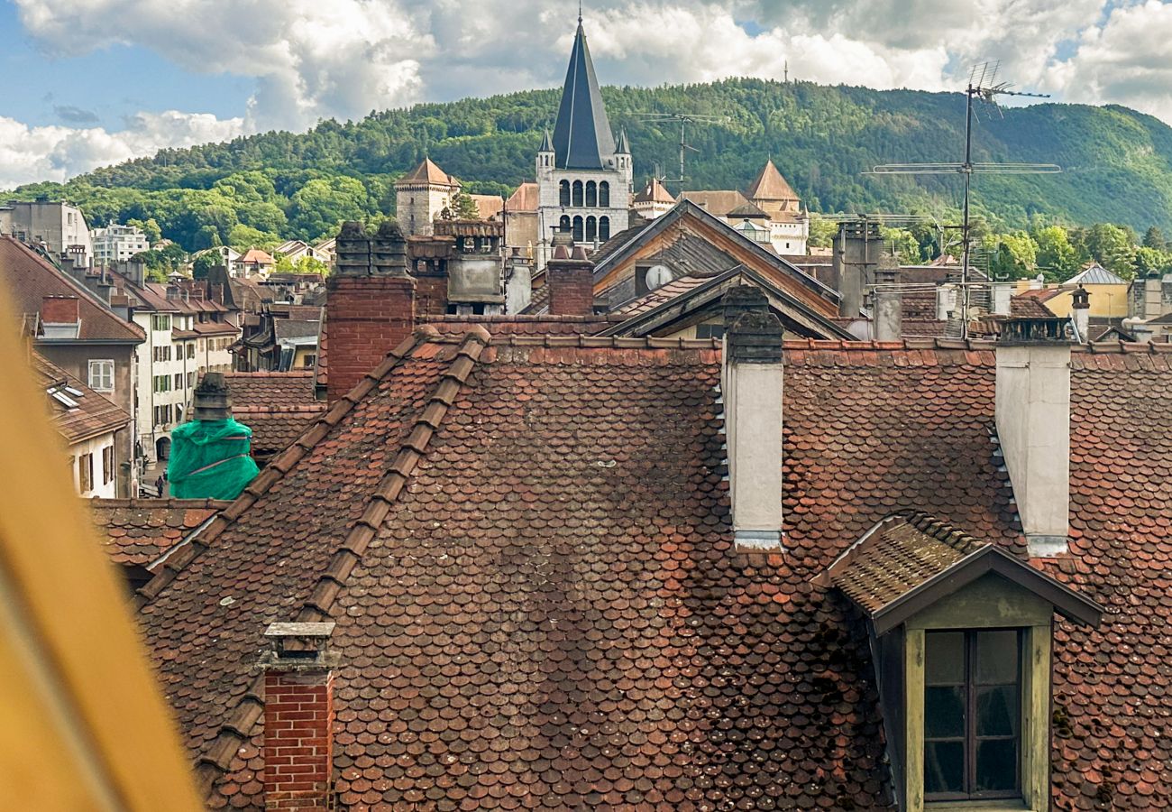Apartment in Annecy - Da vinci rue sommeiller super emplacement