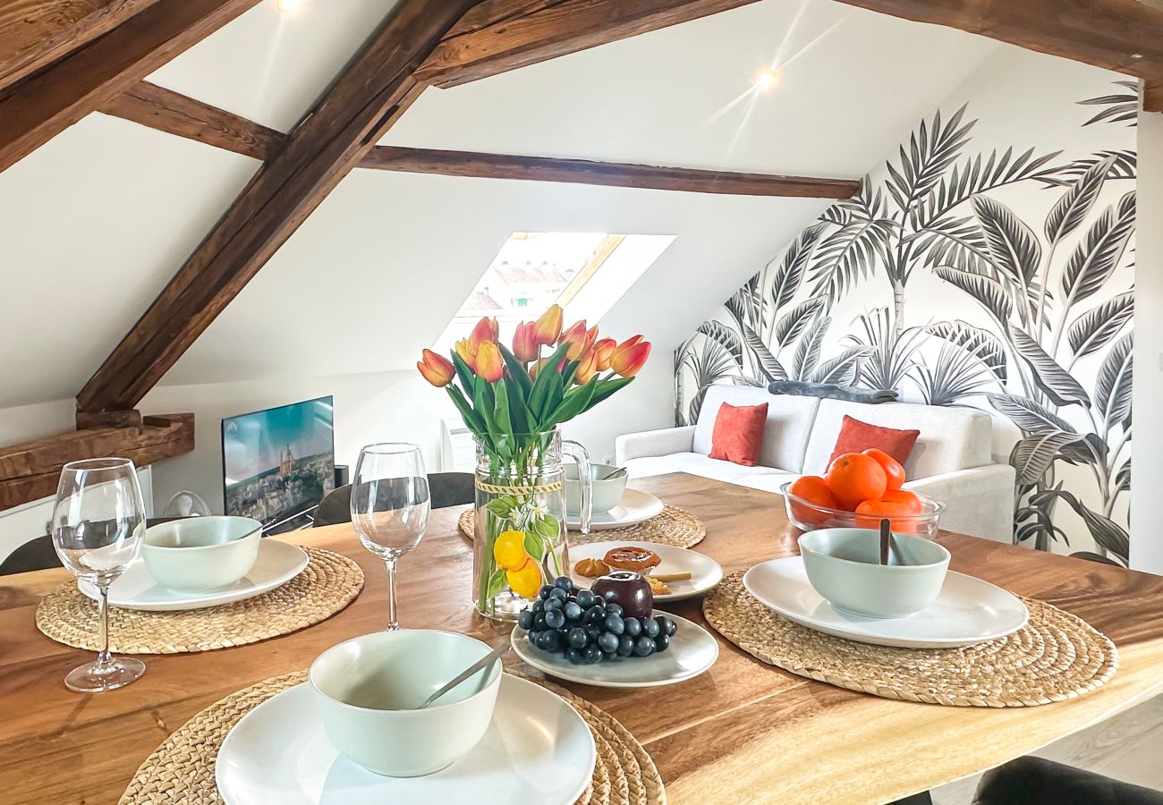 Apartment in Annecy - Da vinci rue sommeiller super emplacement