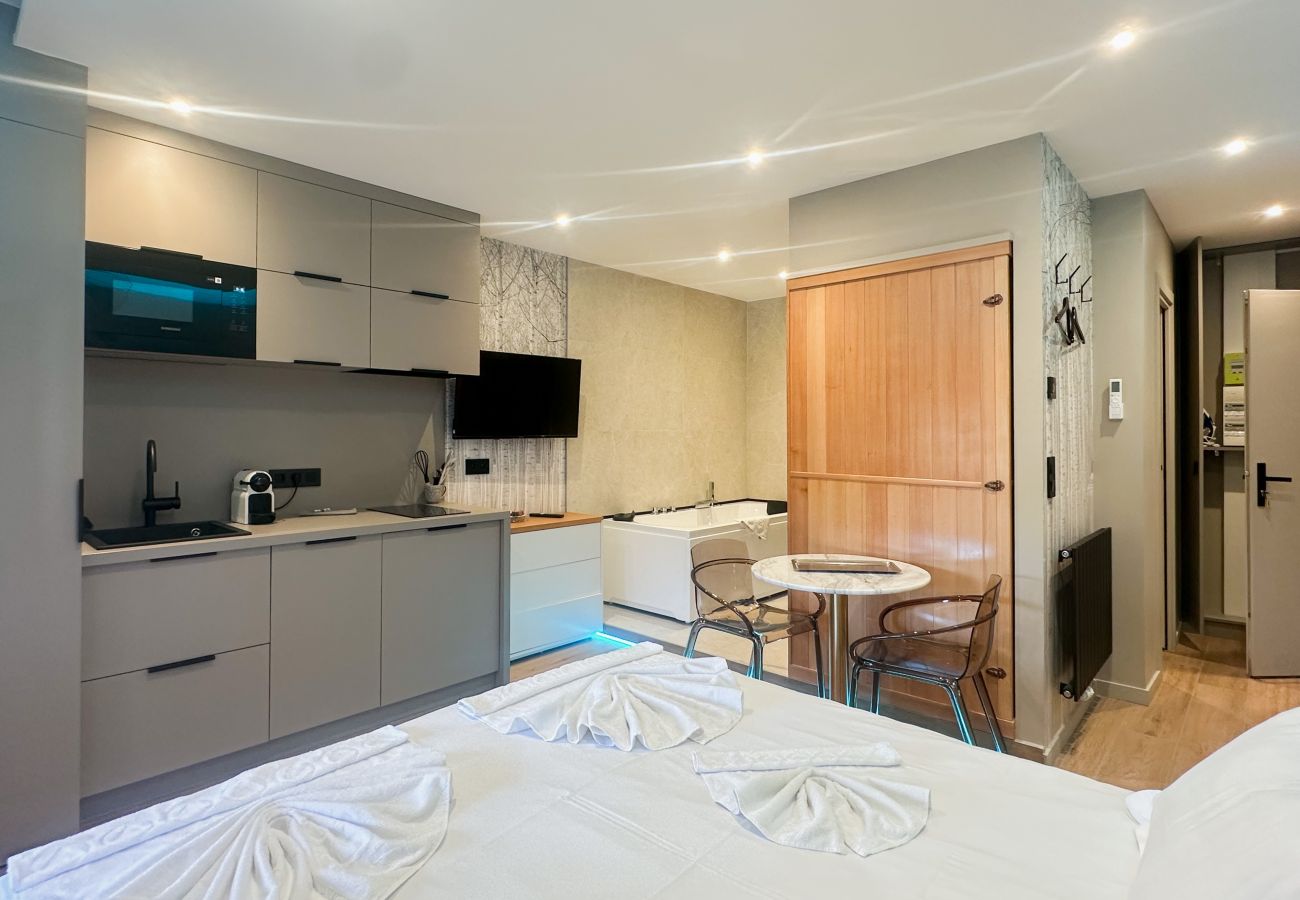 Studio in Annecy - Saint Bernard / Luxe / Bail mobilité vue lac