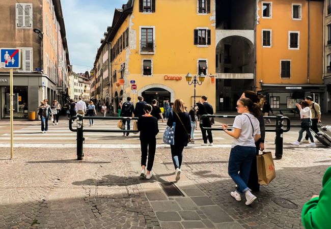 Apartment in Annecy - Petit Gruffaz proche du canal Apartment in Annecy - Petit Gruffaz proche du canal