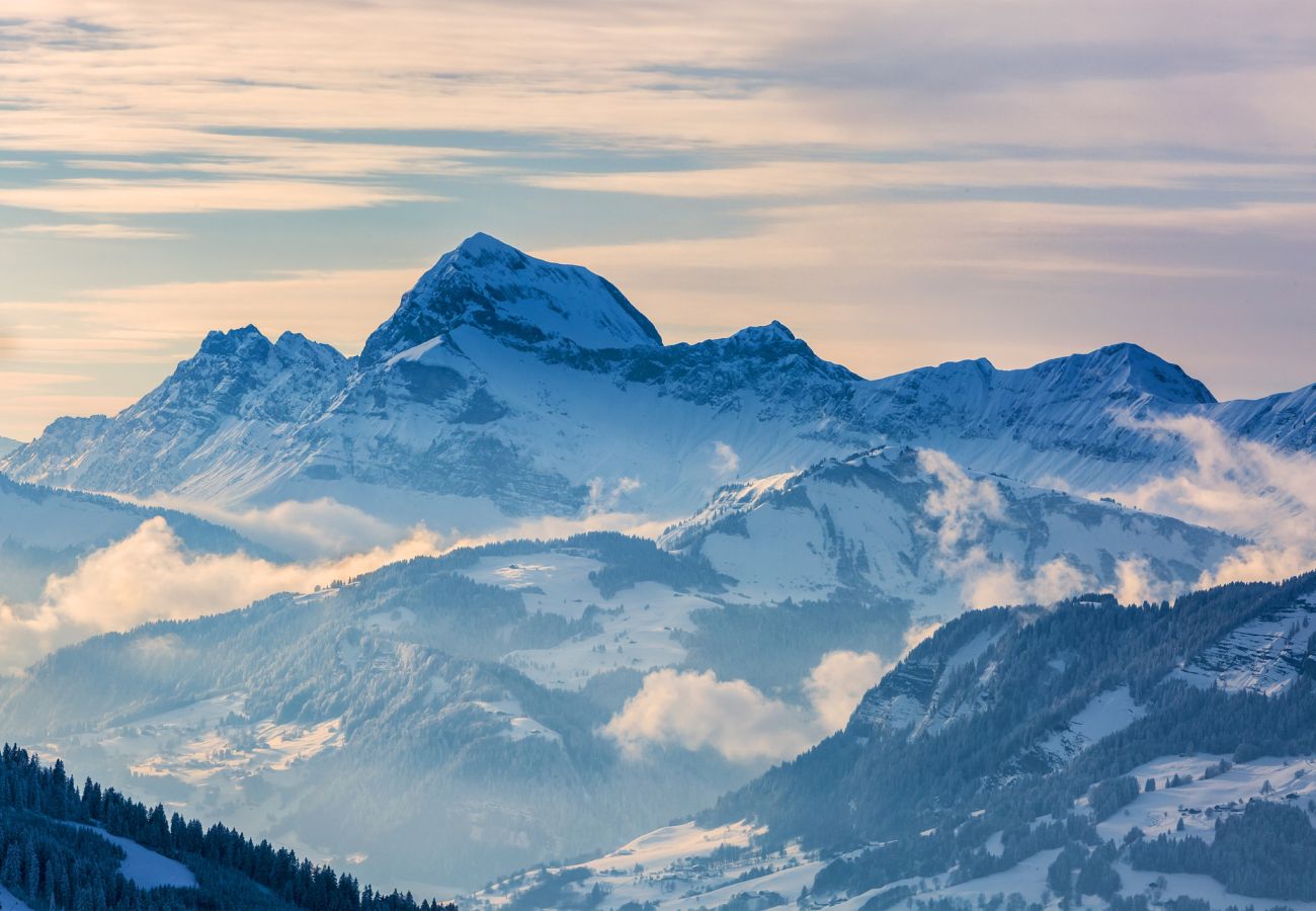 Apartment in Megève - K1 face aux pistes ski in / ski out Megève