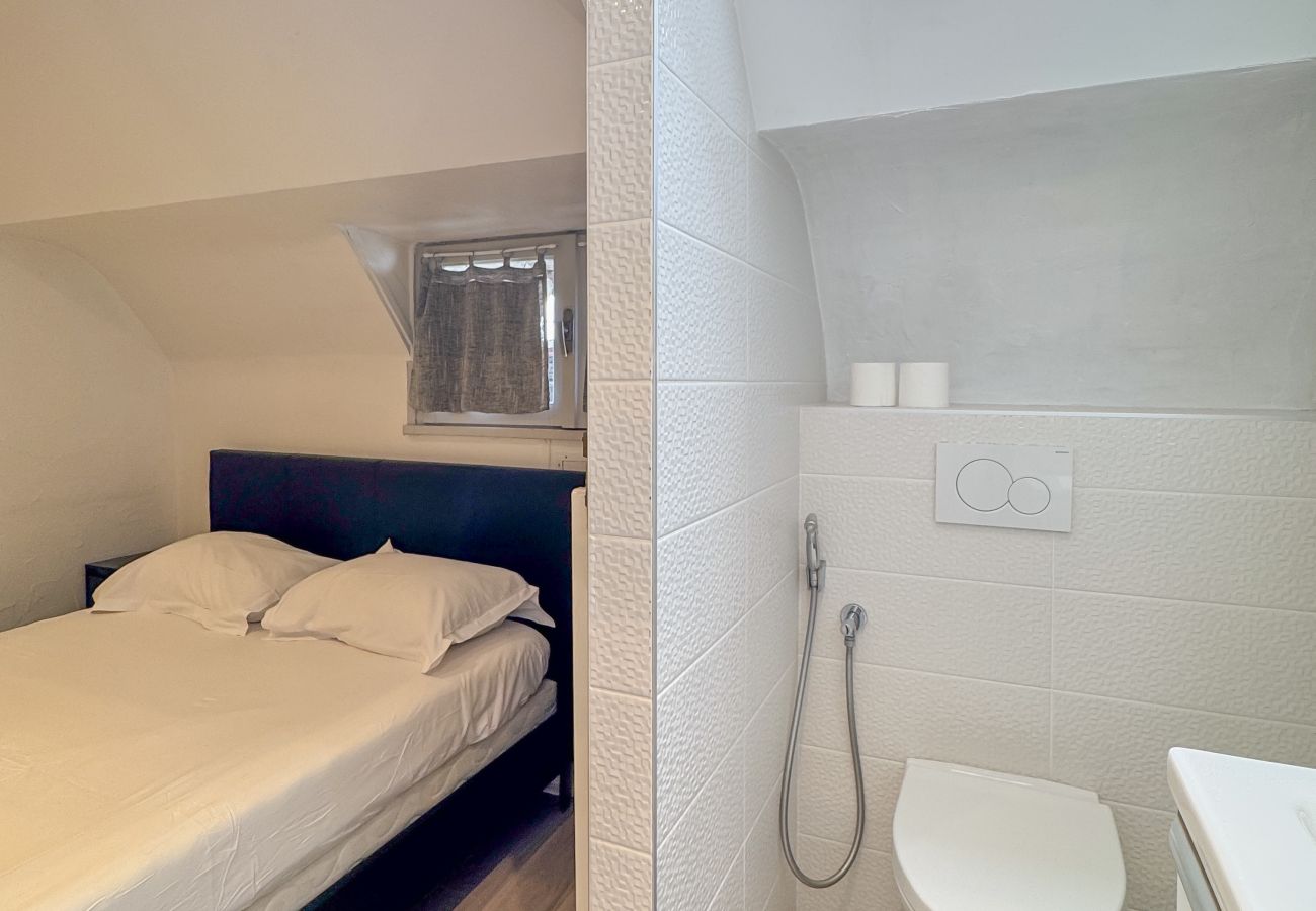 Apartment in Annecy - Nova rue du lac AC