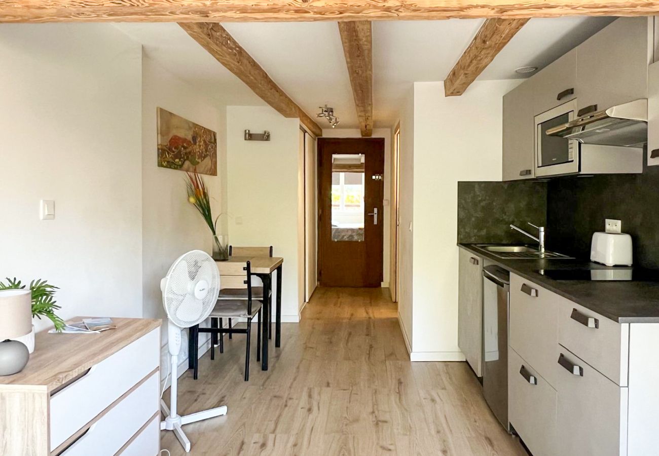 Studio in Annecy - Safran