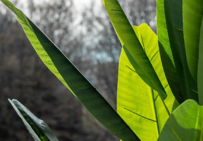 Studio à Annecy-le-Vieux - Deliciosa parking vue splendide plage à 10min Studio à Annecy-le-Vieux - Deliciosa parking vue splendide plage à 10min